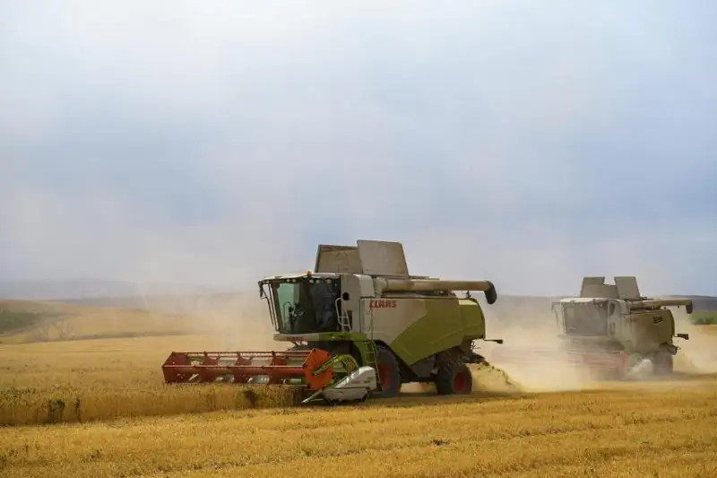 Почти 30 млрд тенге выделили в области Жетысу на поддержку АПК