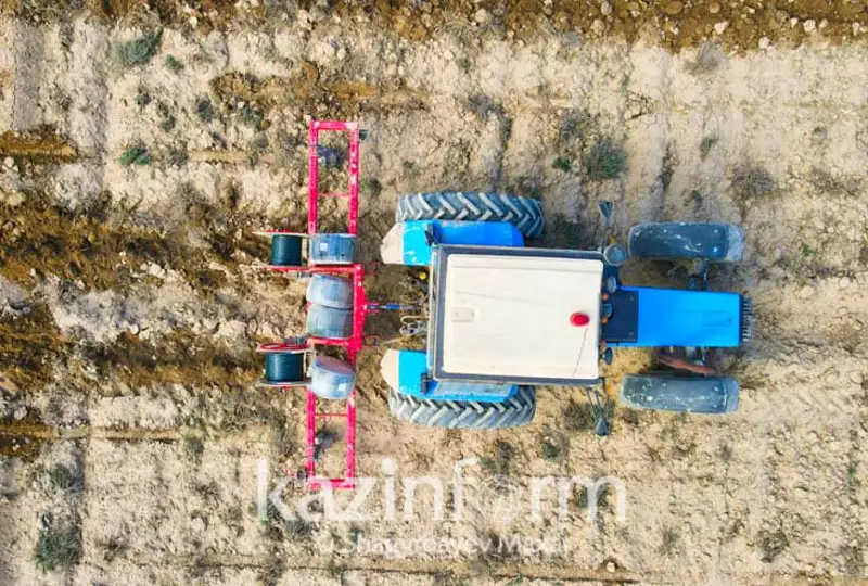 Засуха, саранча и дожди - эксперты назвали причины убытков отечественных фермеров