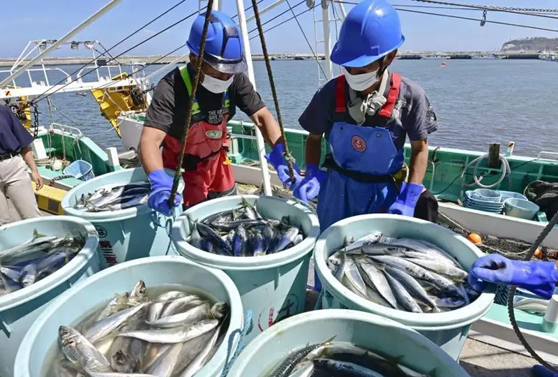 Хитой денгиз маҳсулотлари импортини тақиқлагани учун Япония балиқчиликка 20 миллиард иен ажратади