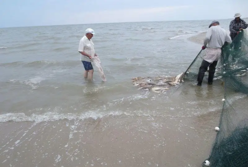قىستا جالاڭ قولمەن اۋ قۇردىق، داۋىلدا قايىقتان دا قۇلادىق - جارتى عاسىردان استام ۋاقىت بالىق اۋلاعان قاريامەن سۇحبات