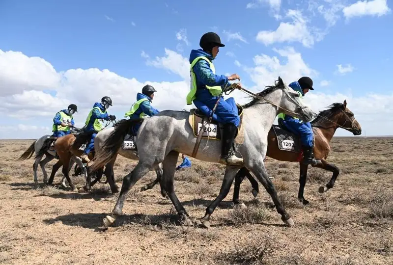 Казахские лошади близки к мировому рекорду