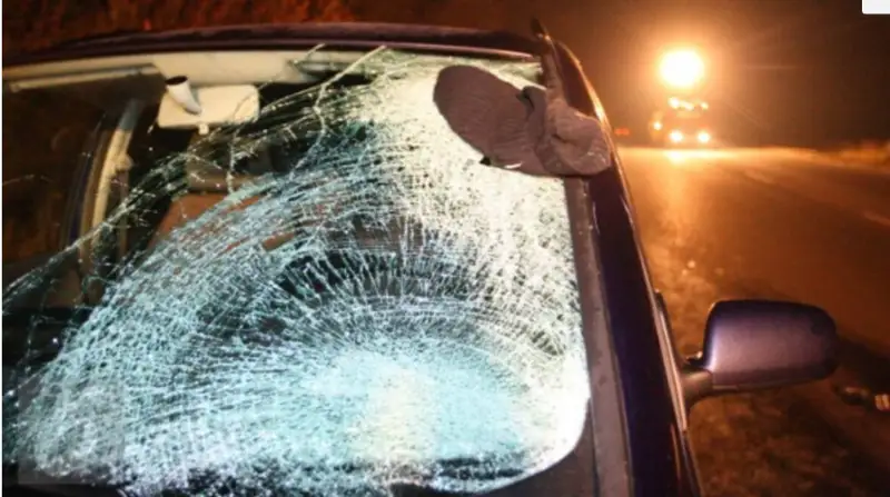 تراسسادا كولىكتىڭ اينەگىنە تاس تيسە، شىعىنىن كىم وتەيدى؟ زاڭگەر كەڭەسى