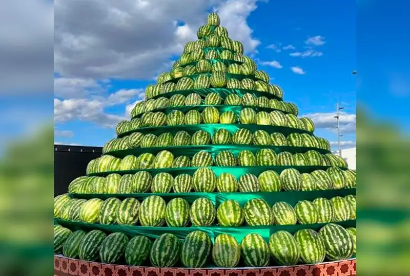 قازاقستانداعى تاجىكستاننىڭ مادەنيەت كۇندەرى اياسىندا استانادا جارمەڭكە- كورمە وتەدى