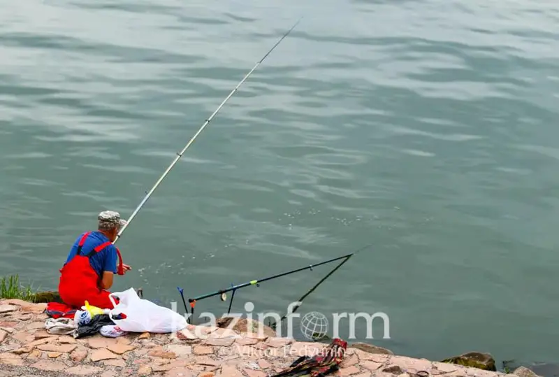 Лучшие места для рыбалки в Туркестанской области