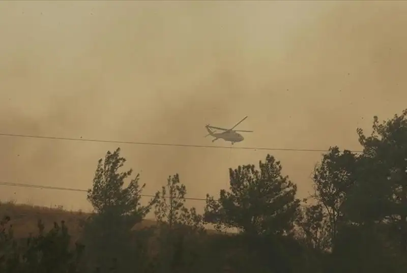Туркияда ўрмон ёниб, олти қишлоқ эвакуация қилинди