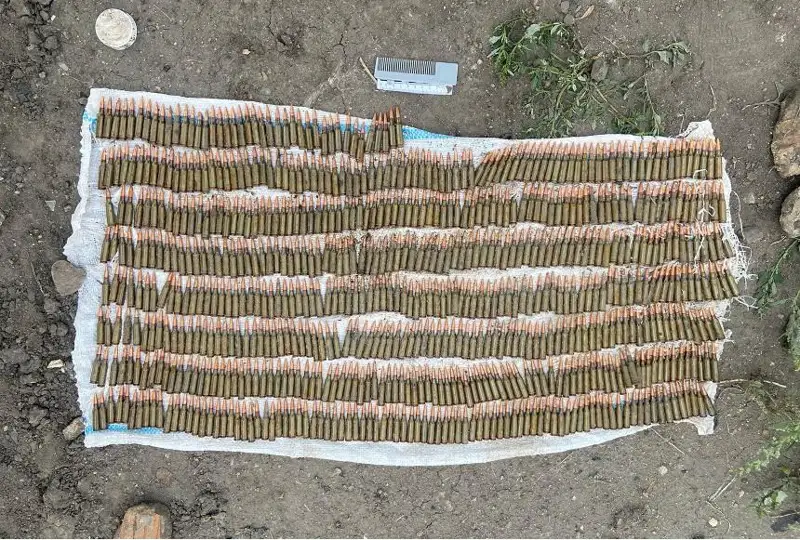 Более 600 боевых патронов хранил возле дачного поселка житель СКО