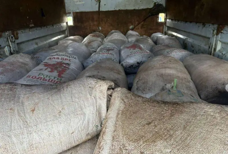 2,5 тонны цист рачка «Артемия салина» изъяли у жителя Павлодара