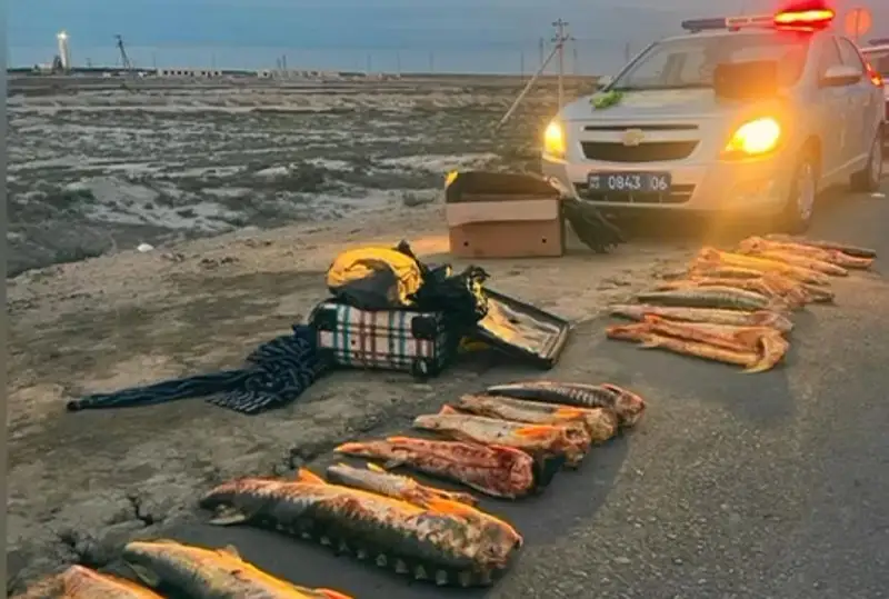 80 кг осетра изъяли полицейские Атырауской области