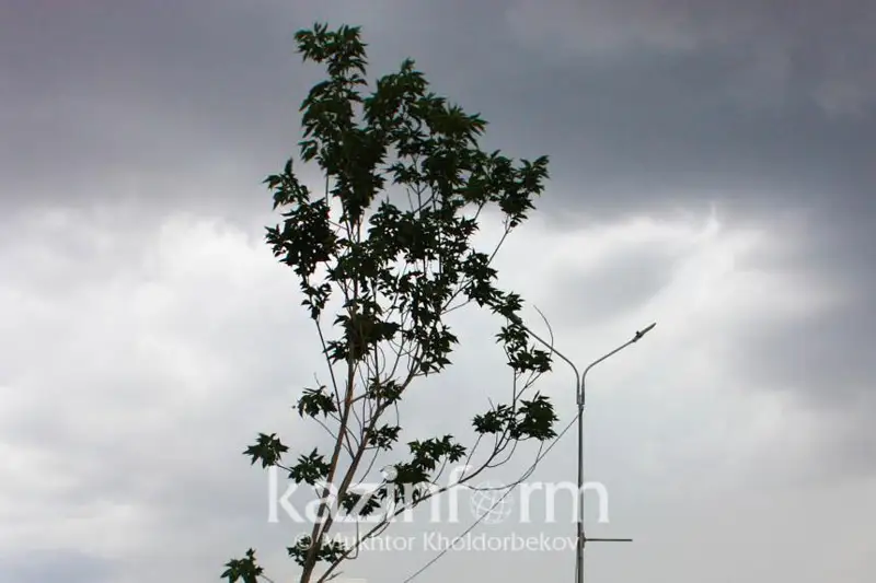 الداعى ءۇش كۇندە ەلىمىزدىڭ باسىم بولىگىندە جاڭبىر جاۋىپ، تەمپەراتۋرا تومەندەيدى