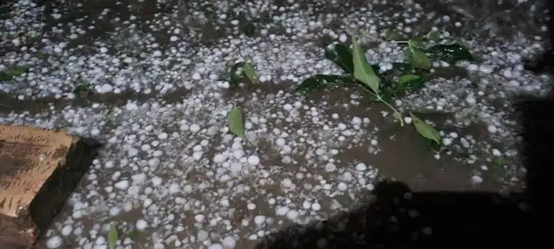 Чимкентда дўл ёғди