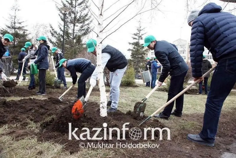 970 тысяч саженцев запланировано высадить в этом году в Жамбылской области