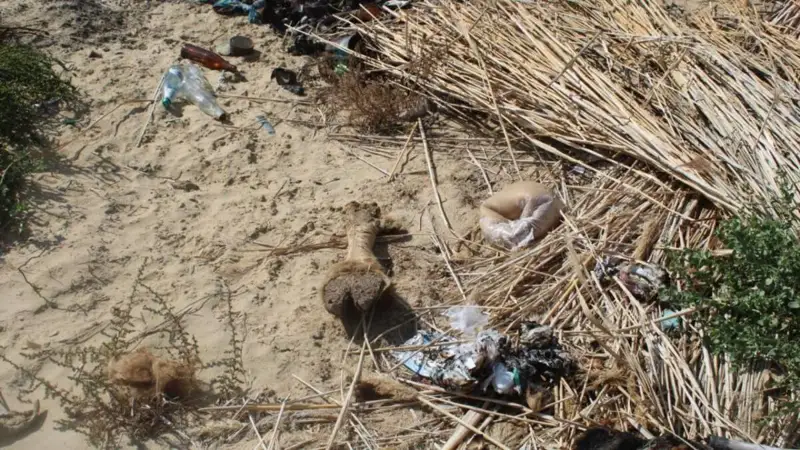 В Казалинском районе Кызылординской области руководитель сельскохозяйственного учреждения доверил местному пастуху 53 верблюдов.