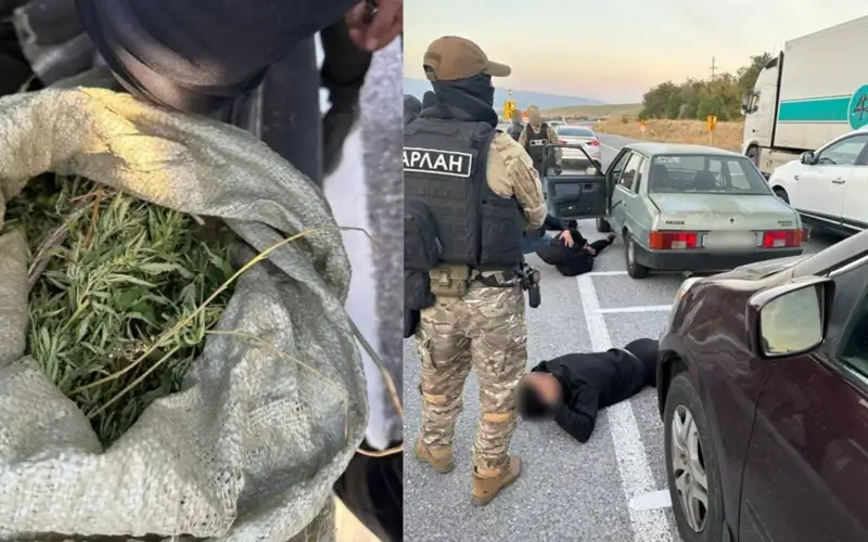 наркотики, спецоперация, полиция