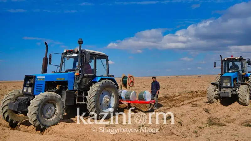 астық экспорты