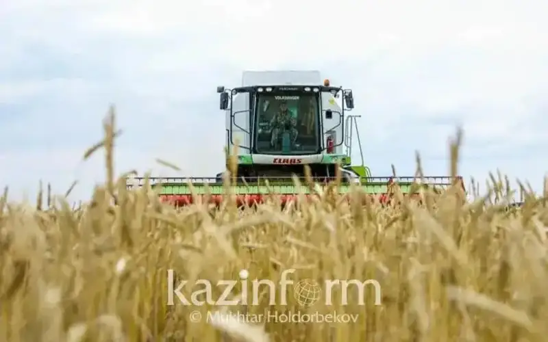 Қишлоқ ҳўжалиги