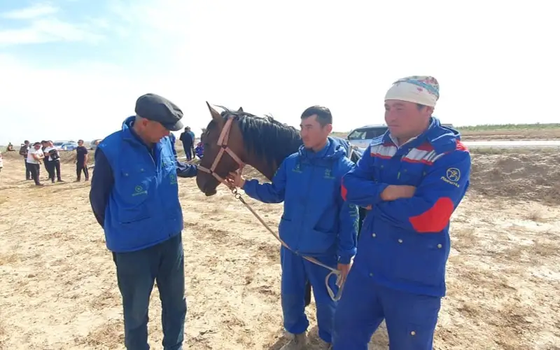 ұлы дала жорығы, бәйге, сәйгүлік, жорық, атжарыс, 