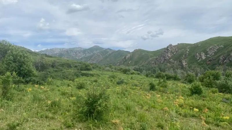 11 254 га земель  вернули государству в области Абай