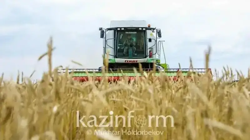 ەگىن دالادا قالمايدى - اۋىل شارۋاشىلىعى ءمينيسترى