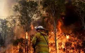 Лес пожары климат Австралия