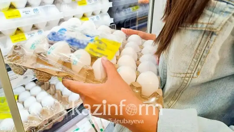 8 aıda Qazaqstanda 3,3 mlrd danadan astam jumyrtqa óndirildi