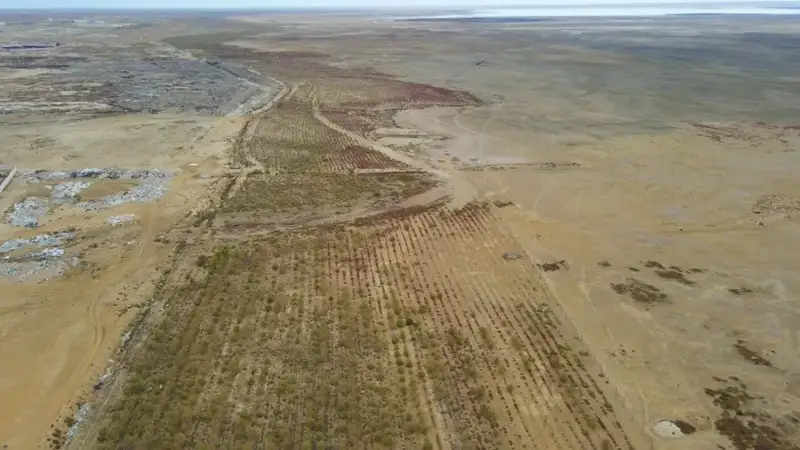 қоқыс, экология, 