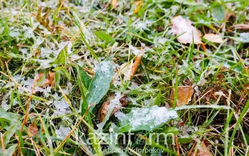 Қозоғистонда совуқ бўлиши кутилмоқда