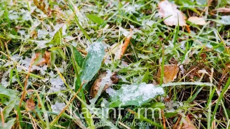 үсік жүреді