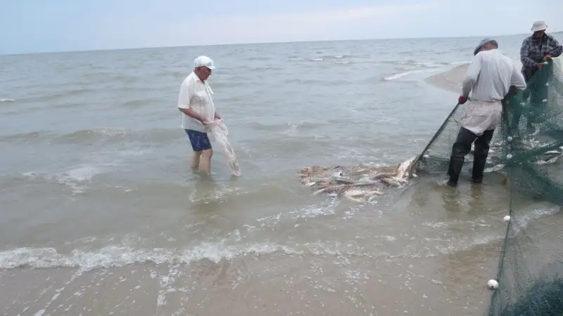 Мергали Тулембаев