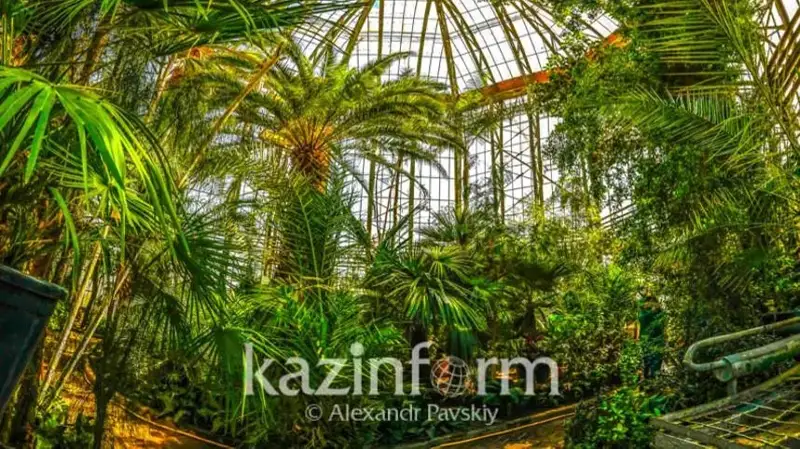 сепаретист