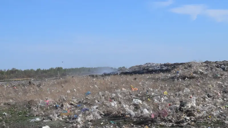 Мусорный коллапс