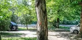 роща баума алматы