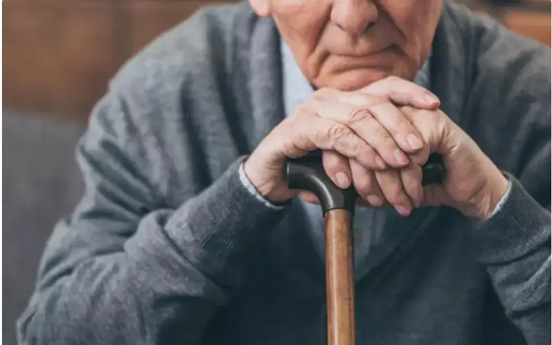 Фото: elements.envato.com 