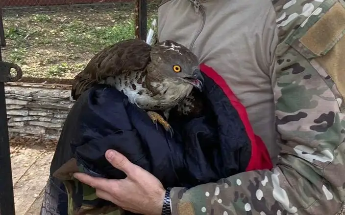 нацпарк Бурабай