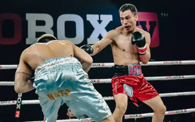 Фото: ©twitter.com/ProBox