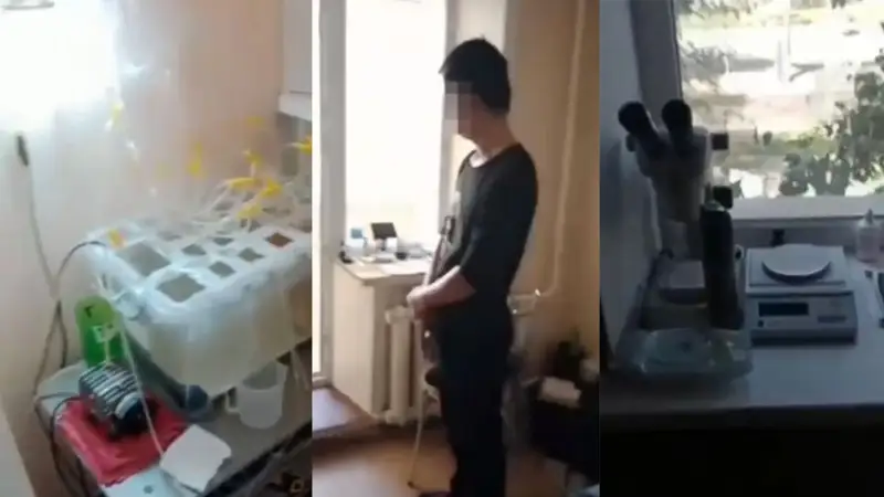 лаборатория на дому