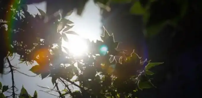 казгидромет