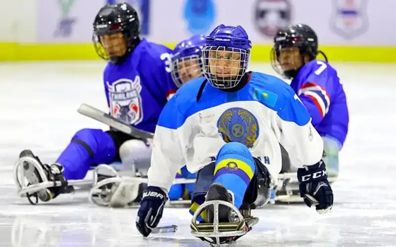 Para Hockey