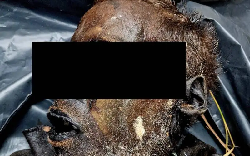 Тело мужчины мумифицировалось естественным образом всего за 16 дней