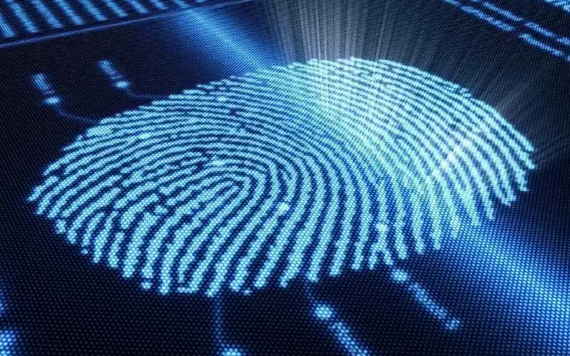дактилоскопия