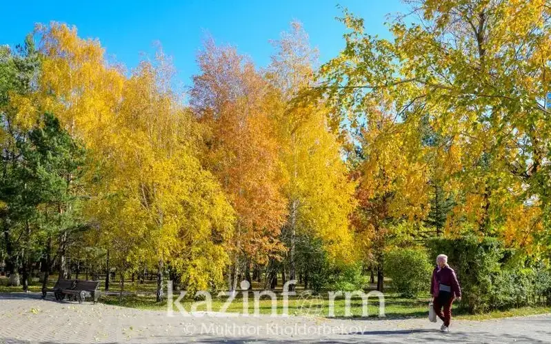 Погода без осадков ожидается в Казахстане