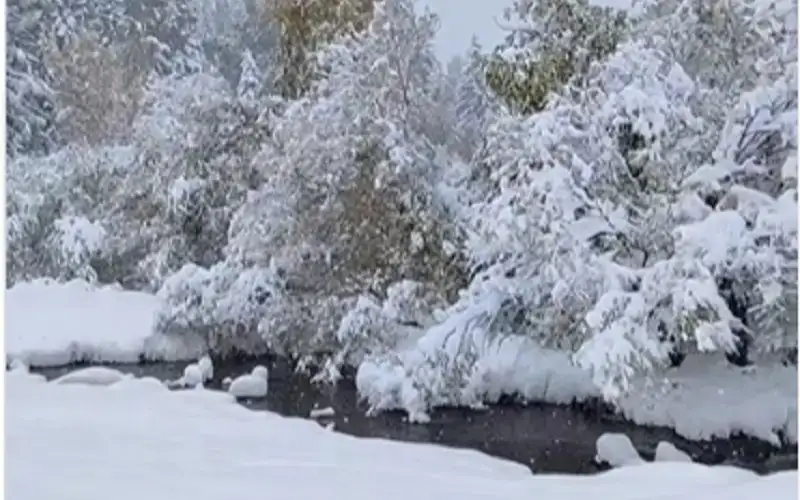 Snow falls in Markakol Reserve in East Kazakhstan region