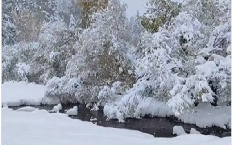 Снег выпал в Маркакольском заповеднике в ВКО