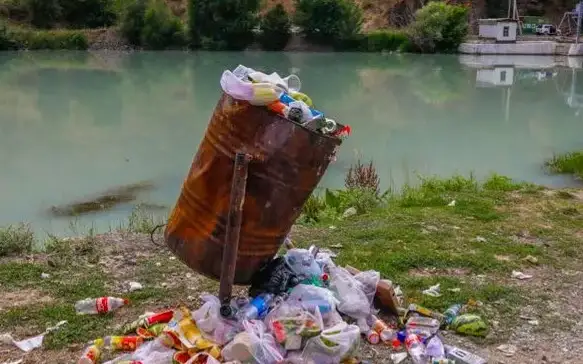 В Казахстане ужесточат ответственность за выбрасывание мусора