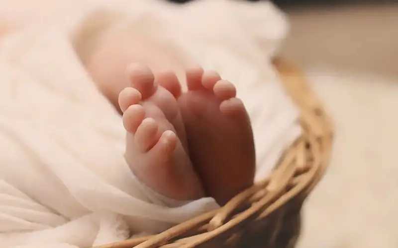 Newborn