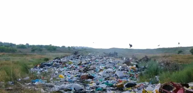 Мухтар Холдорбеков/ МИА «Казинформ»