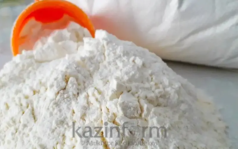 13 аймақта ұн қымбаттап барады – министрлік себебін түсіндірді