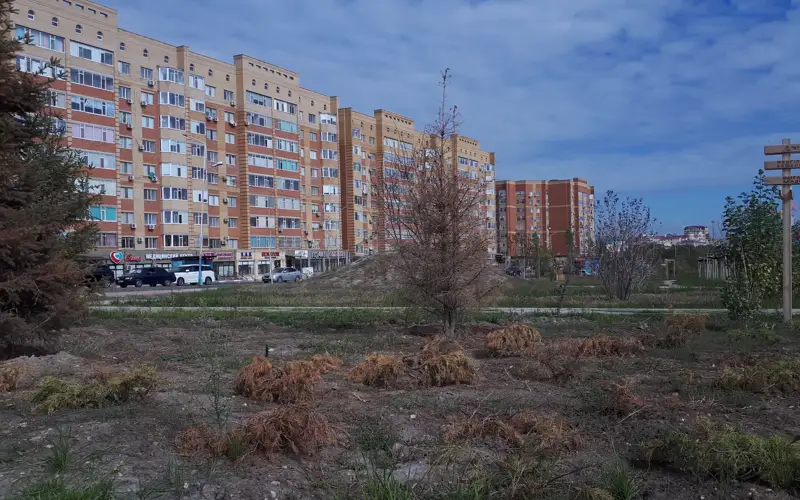 saıabaq