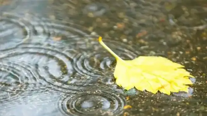 қазгидромет