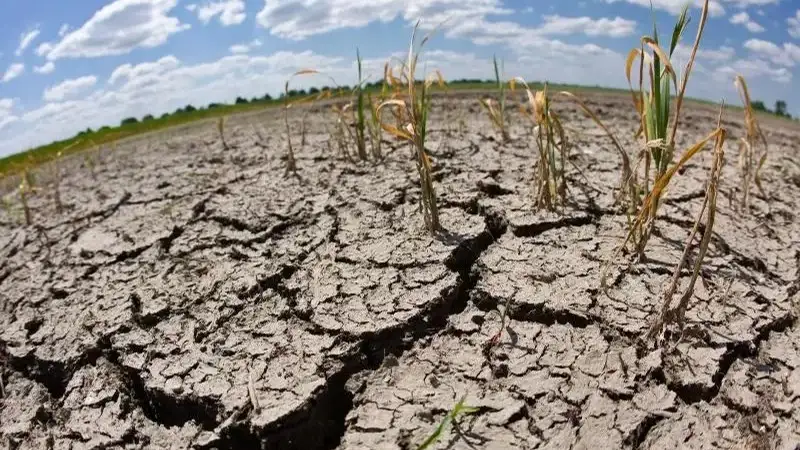 drought