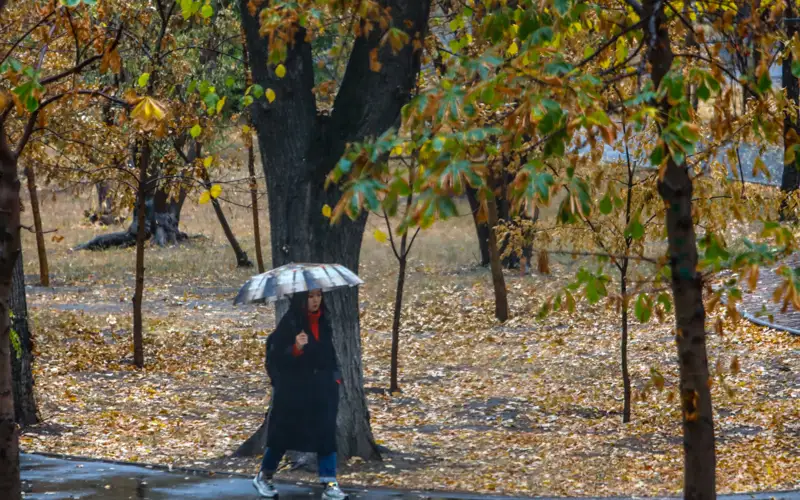 未来三天国内多数地区迎来降雨天气